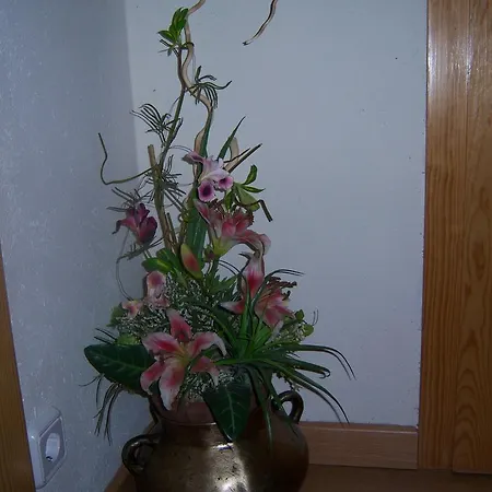 Casa Rogel