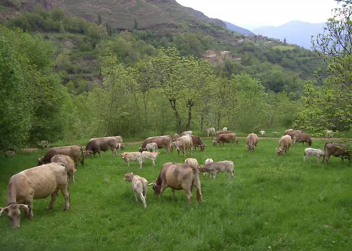 Kır Evi Casa Rogel Llesuy